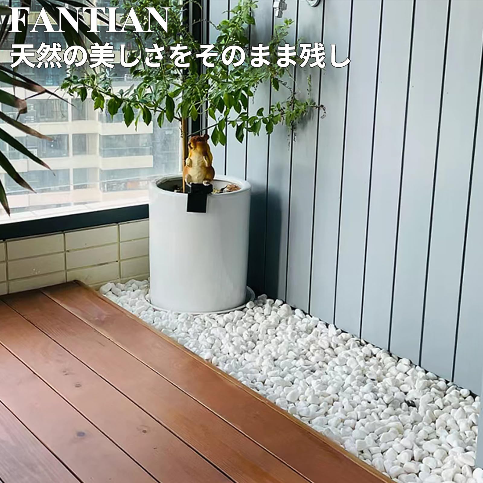Amazon | FANTIAN【高級白玉砂利】白化粧砂利・白仙玉砂利・大理石砂利
